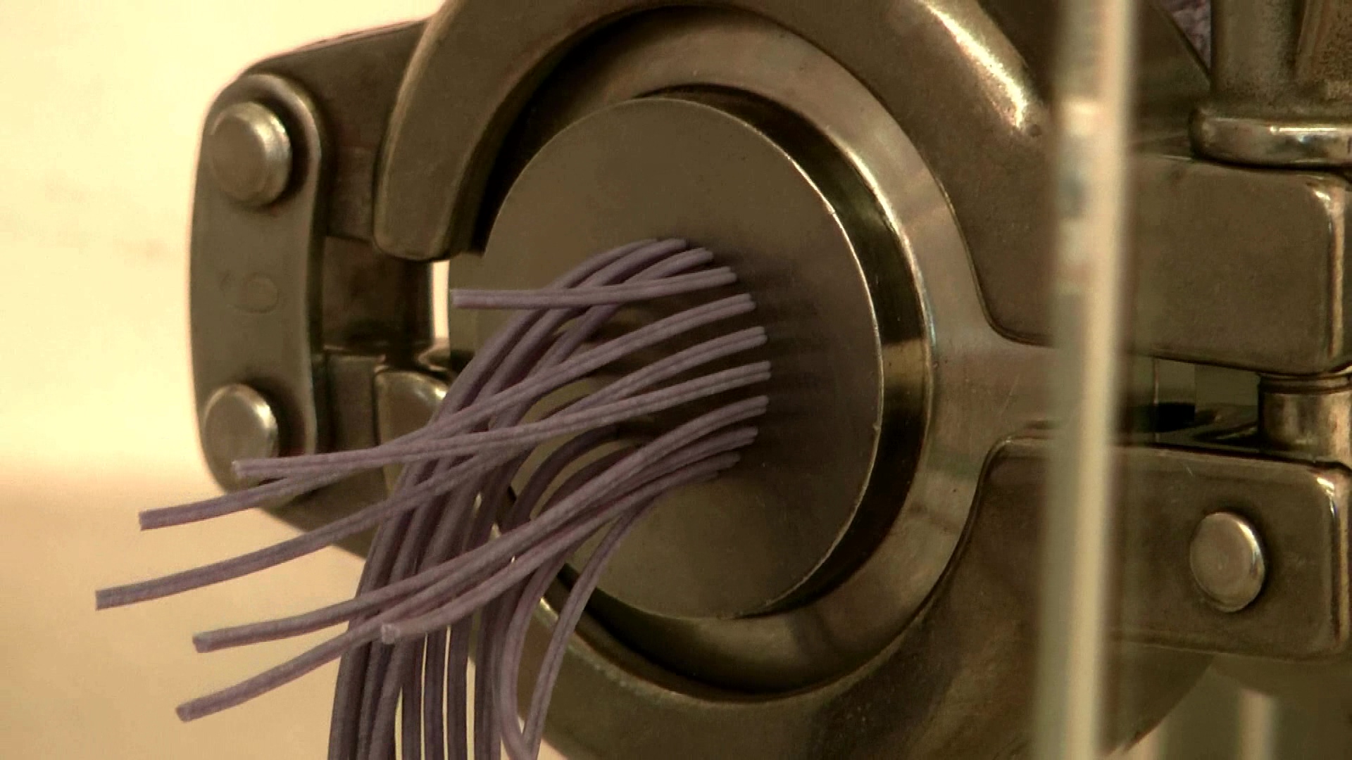 Extrusion of catalyst and petrochemical materials Caleva